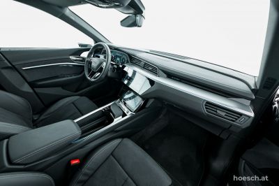 Audi Q8 e-tron Gebrauchtwagen