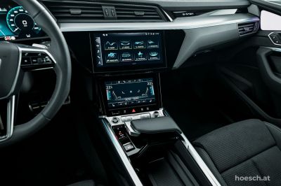 Audi Q8 e-tron Gebrauchtwagen