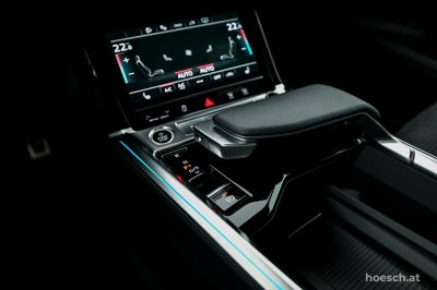 Audi Q8 e-tron Gebrauchtwagen