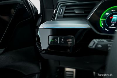 Audi Q8 e-tron Gebrauchtwagen