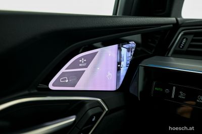 Audi Q8 e-tron Gebrauchtwagen