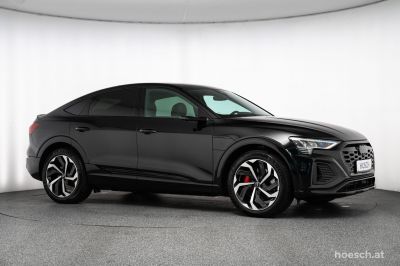 Audi Q8 e-tron Gebrauchtwagen