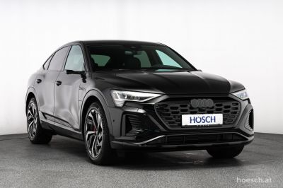 Audi Q8 e-tron Gebrauchtwagen