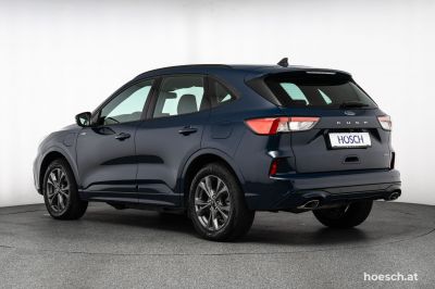 Ford Kuga Gebrauchtwagen Ford Kuga Gebrauchtwagen