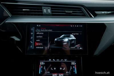 Audi Q8 e-tron Gebrauchtwagen