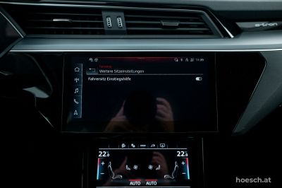 Audi Q8 e-tron Gebrauchtwagen