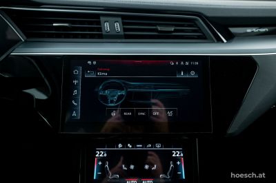 Audi Q8 e-tron Gebrauchtwagen