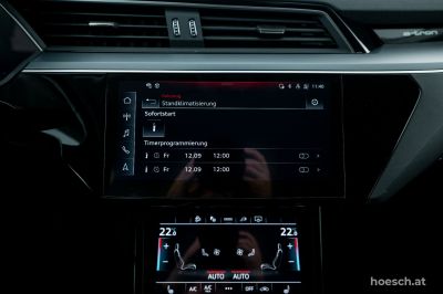 Audi Q8 e-tron Gebrauchtwagen