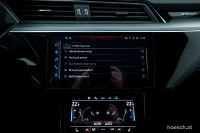 Audi Q8 e-tron Gebrauchtwagen