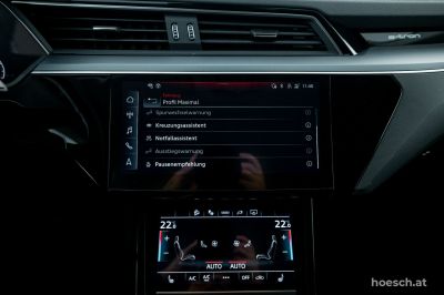 Audi Q8 e-tron Gebrauchtwagen