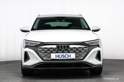 Audi Q8 e-tron Gebrauchtwagen