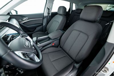 Audi Q8 e-tron Gebrauchtwagen