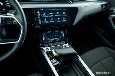 Audi Q8 e-tron Gebrauchtwagen