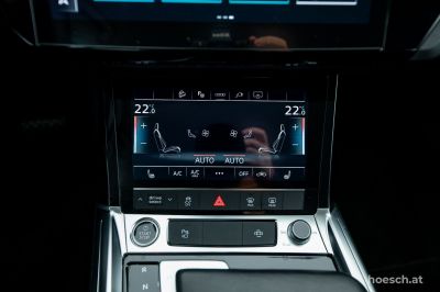 Audi Q8 e-tron Gebrauchtwagen