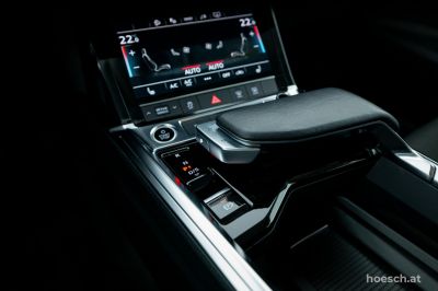 Audi Q8 e-tron Gebrauchtwagen