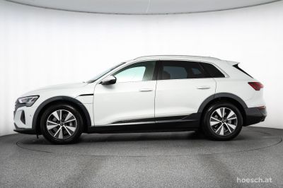 Audi Q8 e-tron Gebrauchtwagen