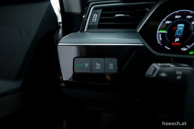 Audi Q8 e-tron Gebrauchtwagen