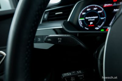 Audi Q8 e-tron Gebrauchtwagen