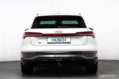Audi Q8 e-tron Gebrauchtwagen