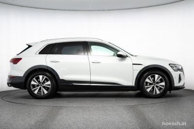 Audi Q8 e-tron Gebrauchtwagen