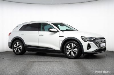 Audi Q8 e-tron Gebrauchtwagen