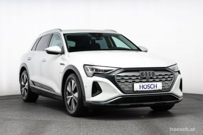 Audi Q8 e-tron Gebrauchtwagen