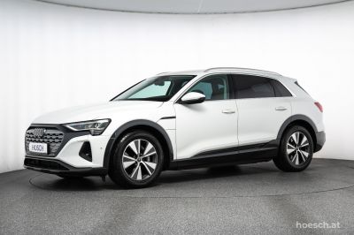 Audi Q8 e-tron Gebrauchtwagen