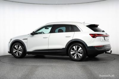 Audi Q8 e-tron Gebrauchtwagen