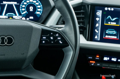 Audi Q4 e-tron Gebrauchtwagen
