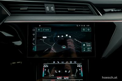 Audi Q8 e-tron Gebrauchtwagen