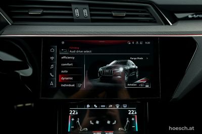 Audi Q8 e-tron Gebrauchtwagen