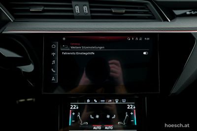 Audi Q8 e-tron Gebrauchtwagen