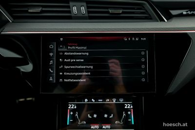 Audi Q8 e-tron Gebrauchtwagen