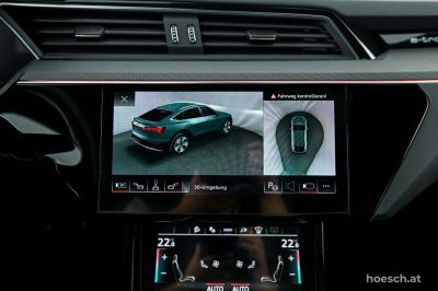 Audi Q8 e-tron Gebrauchtwagen