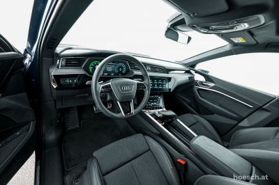 Audi Q8 e-tron Gebrauchtwagen