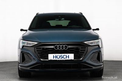Audi Q8 e-tron Gebrauchtwagen