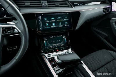 Audi Q8 e-tron Gebrauchtwagen