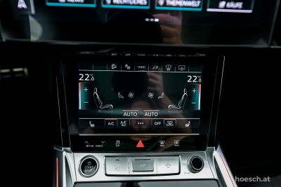 Audi Q8 e-tron Gebrauchtwagen