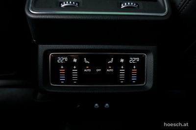 Audi Q8 e-tron Gebrauchtwagen