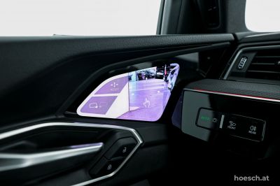 Audi Q8 e-tron Gebrauchtwagen