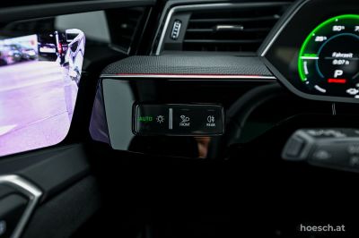 Audi Q8 e-tron Gebrauchtwagen