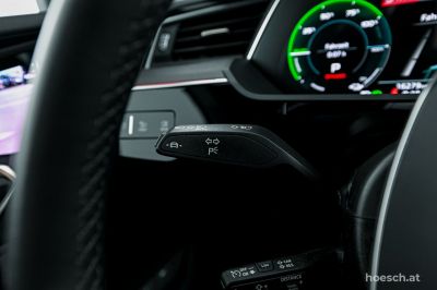 Audi Q8 e-tron Gebrauchtwagen