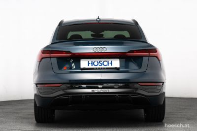 Audi Q8 e-tron Gebrauchtwagen