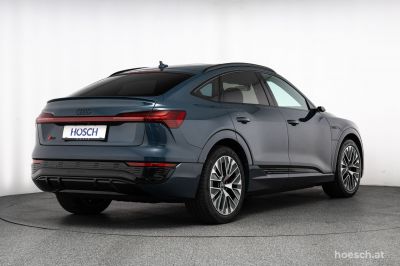 Audi Q8 e-tron Gebrauchtwagen