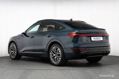 Audi Q8 e-tron Gebrauchtwagen