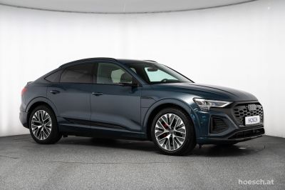 Audi Q8 e-tron Gebrauchtwagen