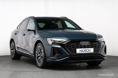 Audi Q8 e-tron Gebrauchtwagen