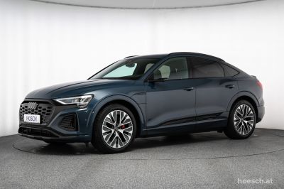 Audi Q8 e-tron Gebrauchtwagen