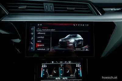 Audi e-tron Gebrauchtwagen