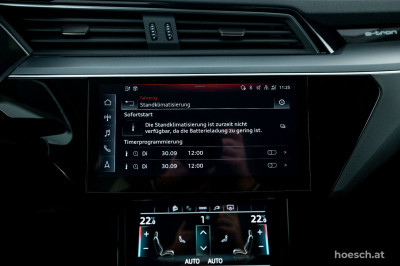 Audi e-tron Gebrauchtwagen